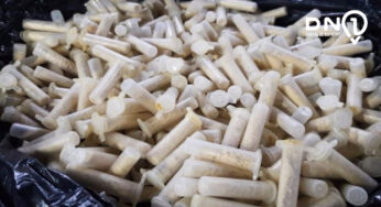 Desempregado é preso com 70 pinos de cocaína