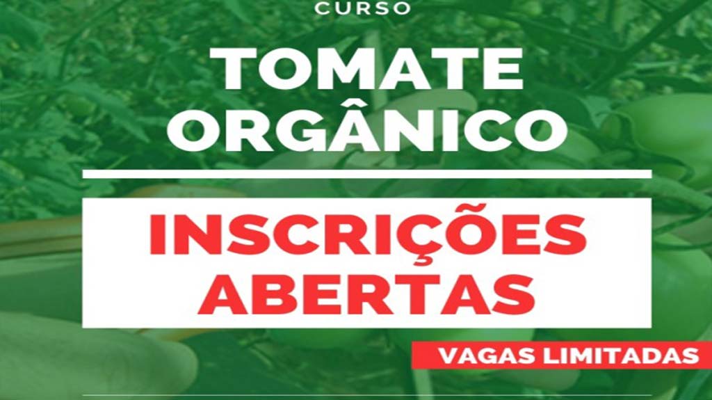 Programa Tomate Orgânico: curso gratuito será oferecido em Birigui. Vagas são limitadas