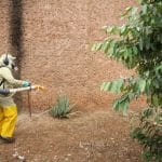CCVZ continua com o trabalho de combate ao mosquito Aedes Aegypti em Birigui