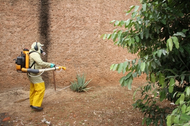 CCVZ continua com o trabalho de combate ao mosquito Aedes Aegypti em Birigui