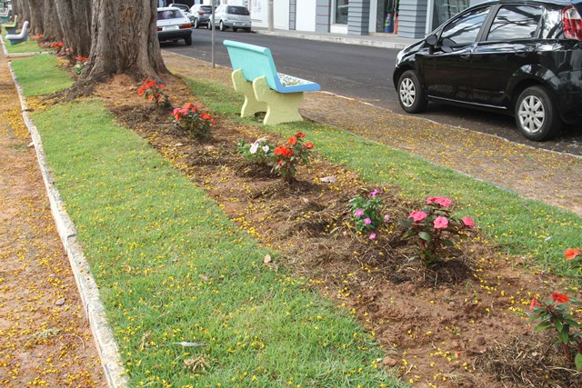 Prefeitura de Birigui recebe doação de 2 mil flores; plantio começa pela avenida São Francisco