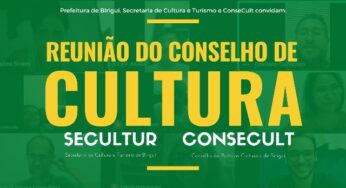 Reunião virtual sobre a Lei Aldir Blanc acontece na terça (21)