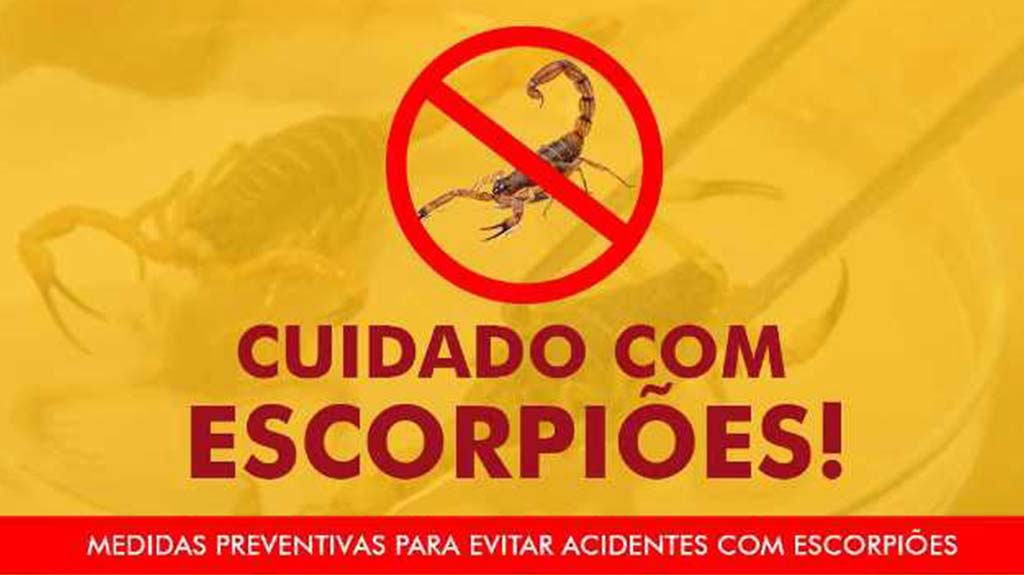 Birigui já registrou 552 acidentes com escorpiões neste ano