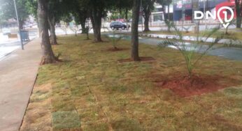Praça Vergínia Archila R. Galdeano ganhou melhorias e totens com os 17 ODS da ONU