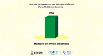 Birigui registra abertura de 266 novas empresas em janeiro