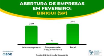 Microempresas representam 98,4% das 244 empresas abertas no mês de fevereiro em Birigui