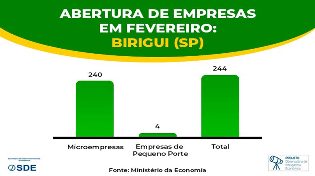 Microempresas representam 98,4% das 244 empresas abertas no mês de fevereiro em Birigui