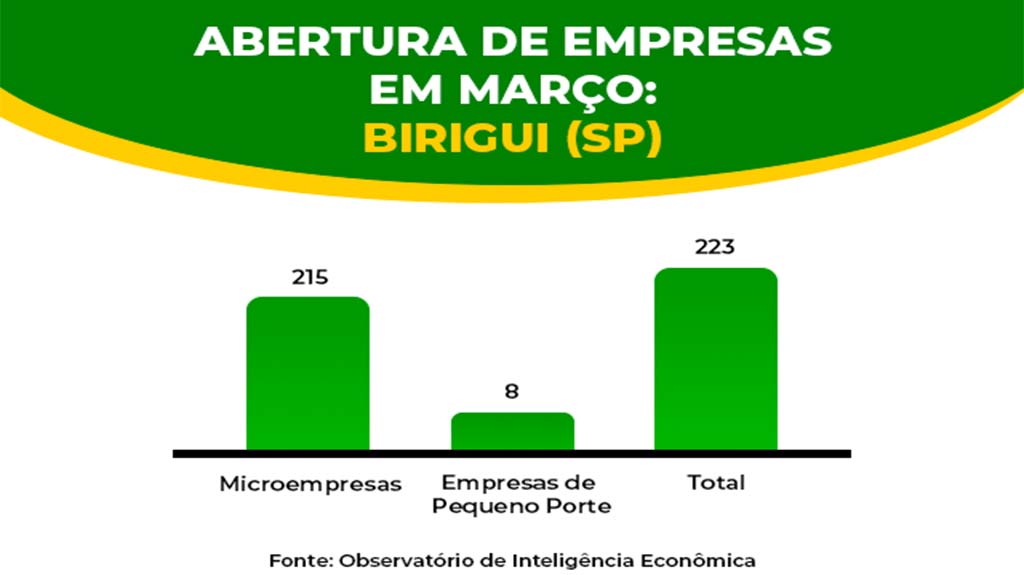 Birigui registra abertura de 223 empresas em março; 96,4% do total são microempresas