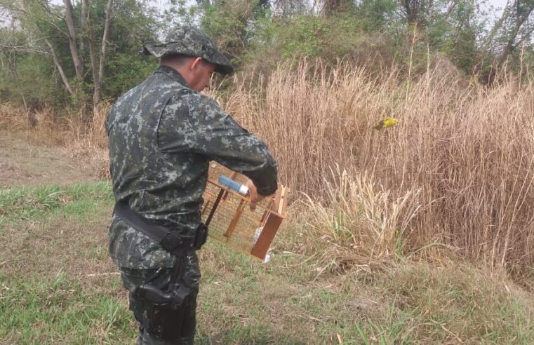 Polícia Ambiental aplica R$ 68 mil de multas na região