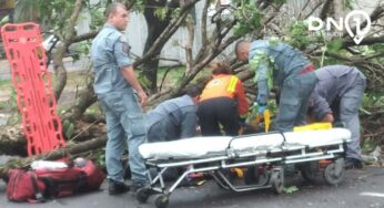 Árvore cai sobre motociclista em avenida