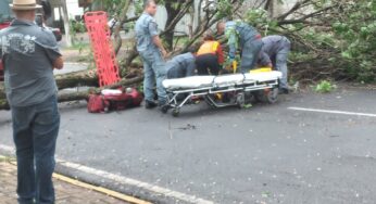 Morre rapaz que sofreu acidente durante temporal
