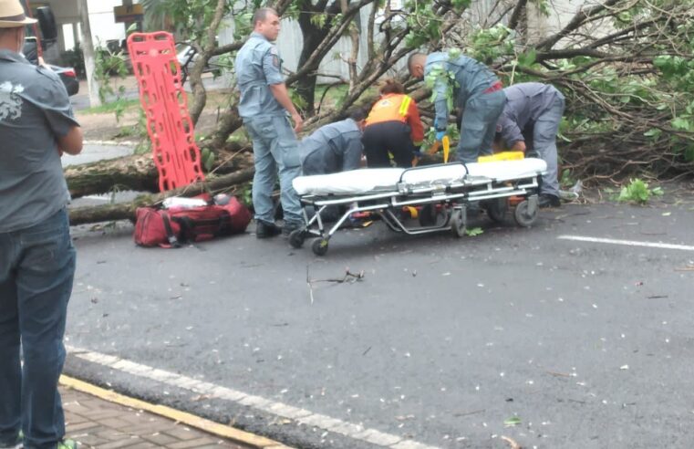 Morre rapaz que sofreu acidente durante temporal