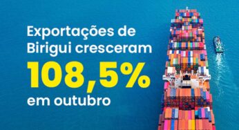 Exportações de produtos biriguienses crescem 108,5% e alcançam 24 países em outubro