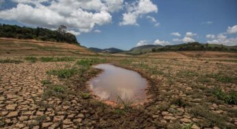 Uma Nova Geração Se Faz Urgente – Por Nalberto Vedovotto