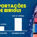 Birigui bate recorde de exportações e movimenta mais de US$ 4 milhões em novembro