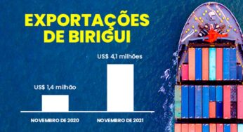 Birigui bate recorde de exportações e movimenta mais de US$ 4 milhões em novembro