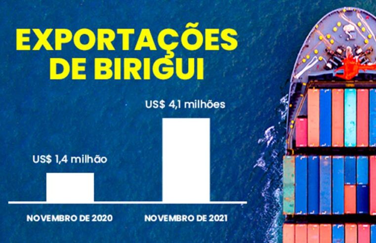Birigui bate recorde de exportações e movimenta mais de US$ 4 milhões em novembro