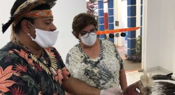 Associação Indigenista restaura acervo de museu araçatubense