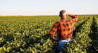 Produtor rural poderá regularizar cadastro ambiental pela internet