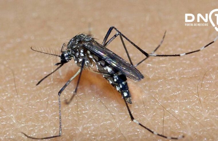 Criança de 9 anos morre por dengue em Birigui