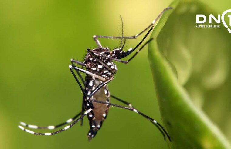 Birigui confirma primeiro caso de febre chikungunya